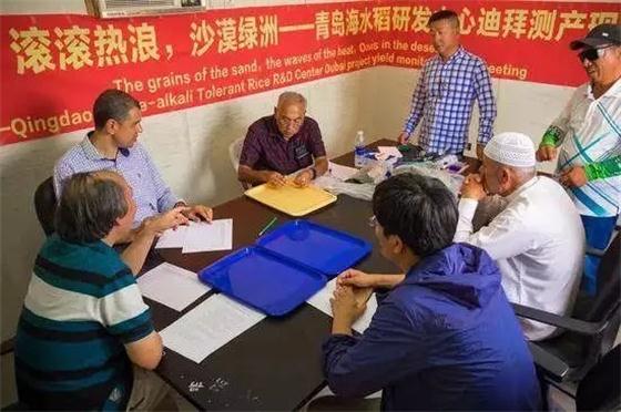 袁隆平團(tuán)隊(duì)在迪拜沙漠種出水稻，這一次，中國(guó)輸出的是技術(shù)!